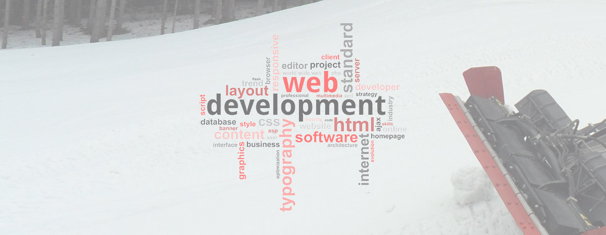Web development in PHP
